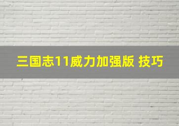 三国志11威力加强版 技巧